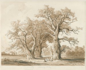 Teddesley Hall - Oak Trees: blyerts- och tvättteckning, nd [nov 1842] (ritning)