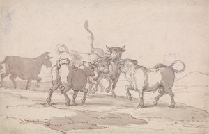 En grupp på fem tjurar som är på väg att slåss av Thomas Rowlandson