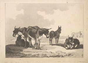 En grupp av fem åsnor, tre stående, två liggande, 1783-87. av Thomas Rowlandson