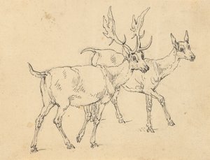 Albumritning av Thomas Rowlandson