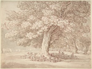 En hjord med hjortar under en ek av Thomas Rowlandson