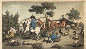 Johnny and a Lady kraschar en spelning i en flock svin. Handkolorerad kopparstick av W. Läst efter en illustration av Thomas Rowlandson från Alfred Burtons The Adventures of Johnny Newcombe in the Navy, Simpkin, London av Thomas Rowlandson