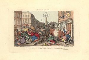 Man fastklämd vid en dörr av hornen på en rasad oxe. av Thomas Rowlandson