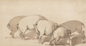 Grisar vid ett fodertråg av Thomas Rowlandson