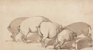 Pigs at a Trough, ca 1790 (grafit med penna och bläck och brun tvätt på papper) av Thomas Rowlandson