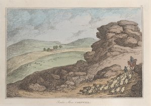 Rouler Moor, Cornwall, från Sketches from Nature, 1822., 1822. av Thomas Rowlandson