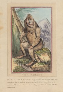 Ett set om åtta med titelsida. ”Utländska och inhemska djur.” 2. Lejonet av Thomas Rowlandson