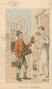 Sjungande fåglar av Thomas Rowlandson