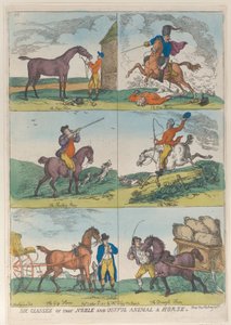 Sex klasser av det ädla och användbara djuret en häst, 10 oktober 1811, 10 oktober 1811. av Thomas Rowlandson