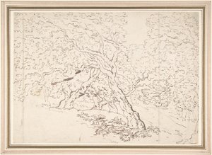 Studie av träd av Thomas Rowlandson