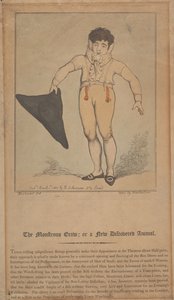 Den monstruösa krälden; eller ett nyupptäckt djur av Thomas Rowlandson