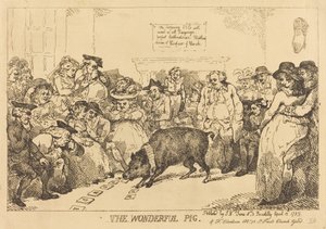 Den underbara grisen av Thomas Rowlandson