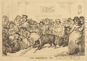 Den underbara grisen av Thomas Rowlandson