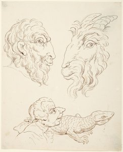 Två karikatyrer: en man och en get, en man och en ödla av Thomas Rowlandson