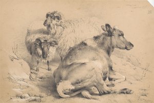 En ko och två baggar av Thomas Sidney Cooper