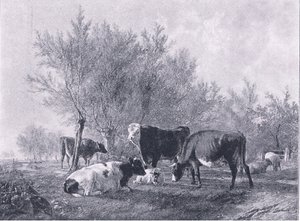 Landskap med boskap, från The Magazine of Art 1893, Cassell and Company av Thomas Sidney Cooper