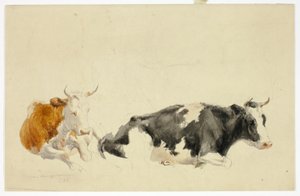Två liggande kor (recto); Skiss av stående ko (verso) av Thomas Sidney Cooper