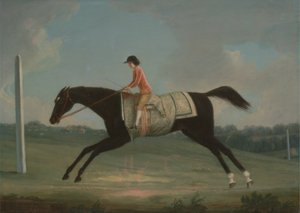 Borlase Cokayne som pojke som rider Sultana