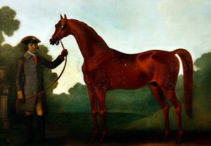 Mr Charles Wilsons Arabian with a Groom (olja på duk)