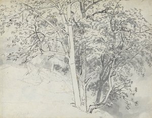 Studie av träd av Thomas Stothard