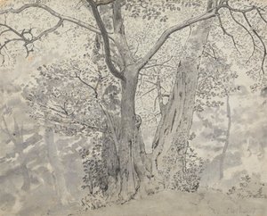 Trädstudie av Thomas Stothard