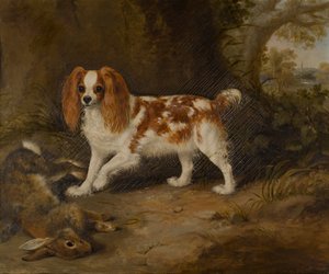 En spaniel med en död hare, ca 1822-74 (olja på duk) av Thomas W. Bretland