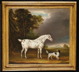 Appaloosa häst och spaniel, 1807