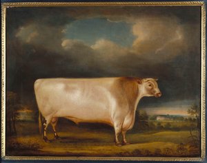 Komet, en lätt stönande korthornstjur i ett landskap, 1811