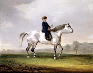 Mästare Edward Humphries på sin grå ponny