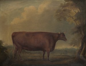 Röda Devon kvigor i landskap, ca 1812 (olja på duk)