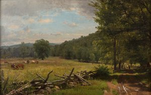 Ängen, ca 1870