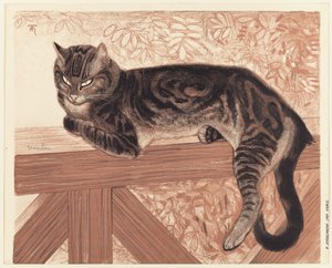 Sommar: Katt på en balustrad
