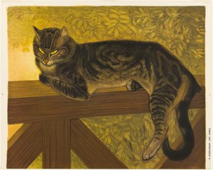 Sommar: Katt på en balustrad