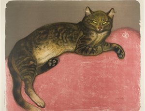 Vinter: Katt på en kudde