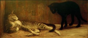 Katt och fitta