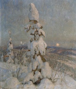Snötäckt gran i månsken (olja på duk)