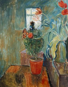 Väggblomma och tulpaner