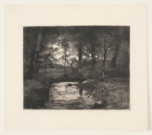 Aa i Borrevejleskogen