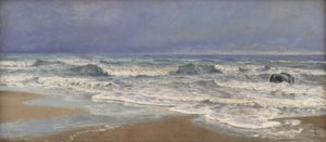 Gråväderdag vid Nordsjön med surf
