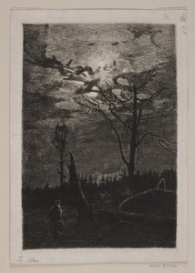 Avskogning. Kväll av Thorvald Niss