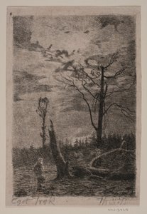 Avskogning. Kväll