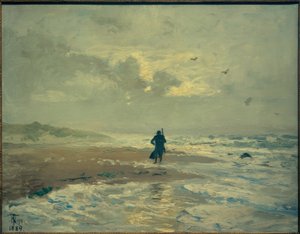 Strandutsikt. Filialer nära Skagen