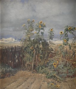 Solrosor på en strand