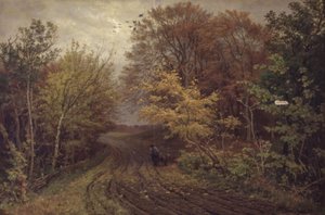 Väg i Borrevejleskogen. oktoberdagen