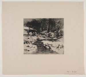 Vinterbäck vid en skog