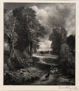 Kornfält av Timothy Cole