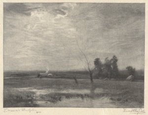 Landskap, eftermiddag av Timothy Cole