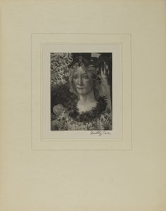 Gamla italienska mästare av Timothy Cole