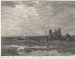 Låglandet av Timothy Cole after John Francis Murphy