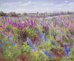 Delphiniumfältet och kyrkan av Timothy Easton